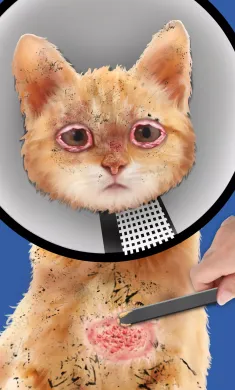 猫咪救助师
