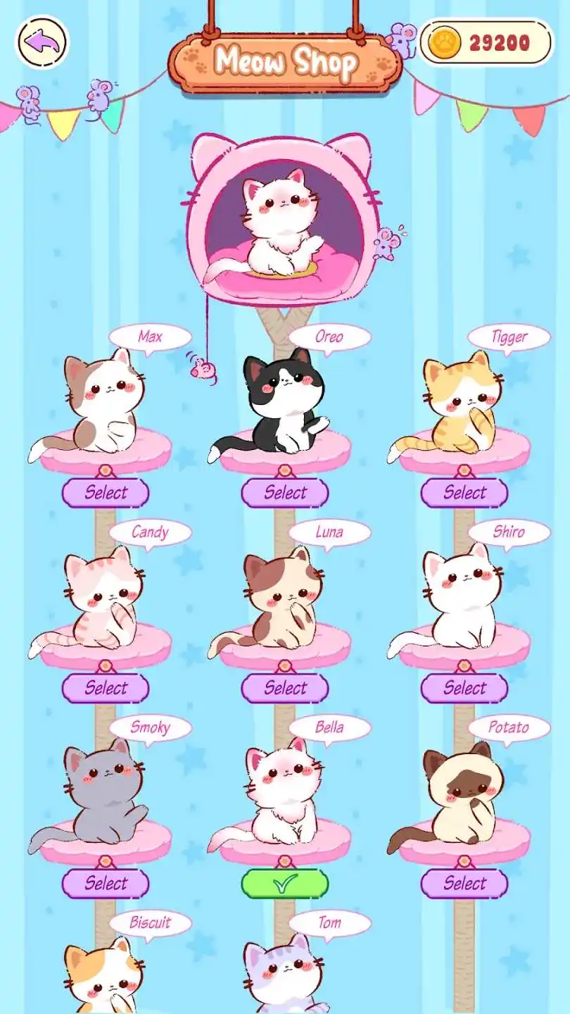 猫咪音乐世界