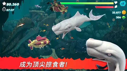 饥饿鲨进化国际版