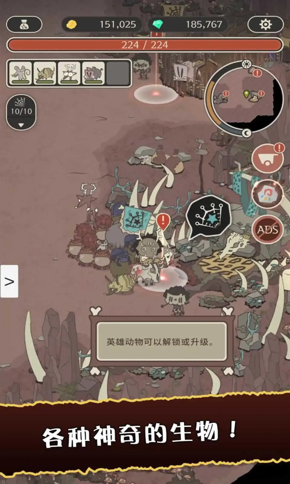 狂野驯兽师:新纪元