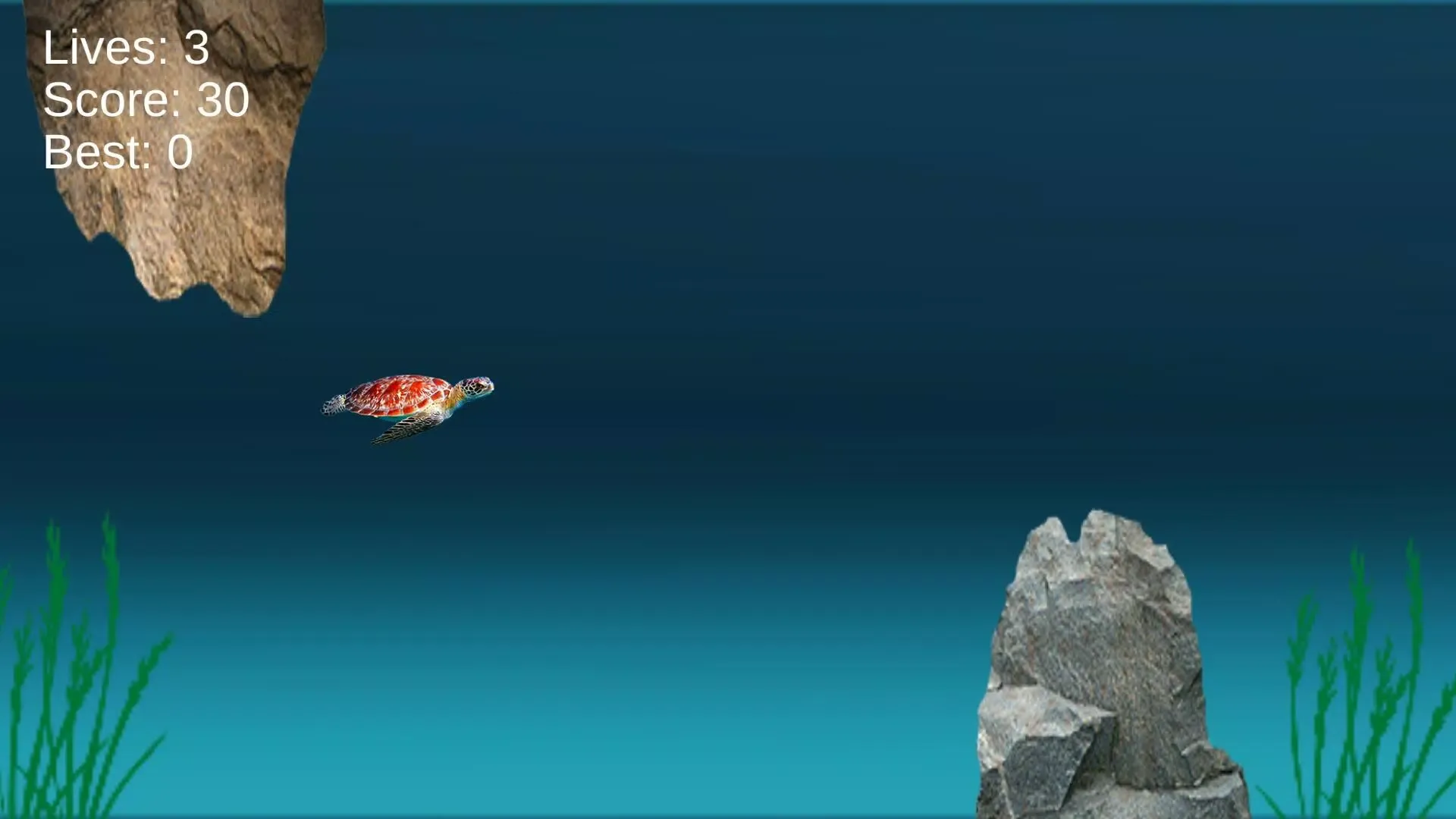 海龟海洋冒险游戏