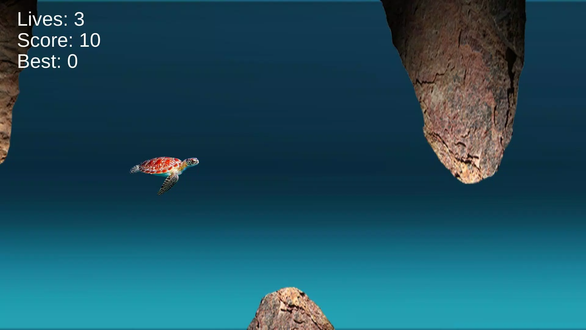 海龟海洋冒险游戏