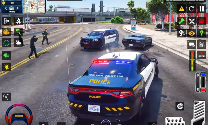 美国警察犯罪模拟器3D
