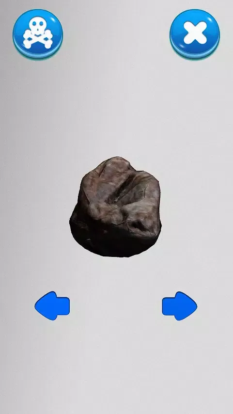 石头模拟器