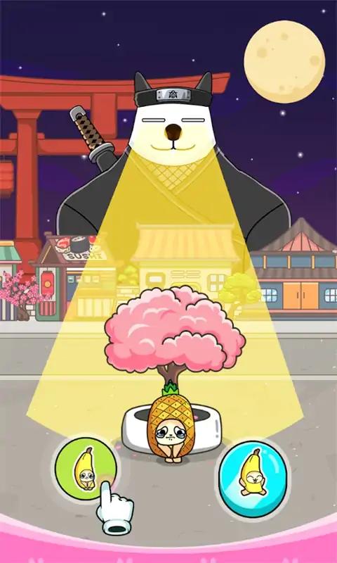 猫的选择