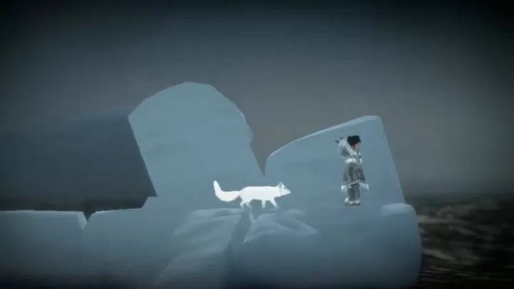 永不孤单：狐狸传说