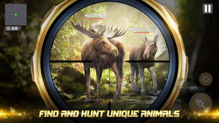 Hunter Sniper - 猎鹿人 动物射击游戏 鹿狩猎