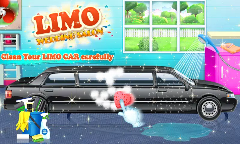 婚礼Limo现代婚礼