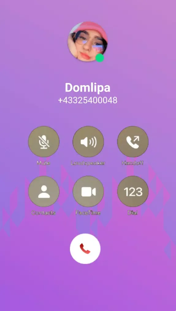 Domelipa呼叫-聊天模拟器