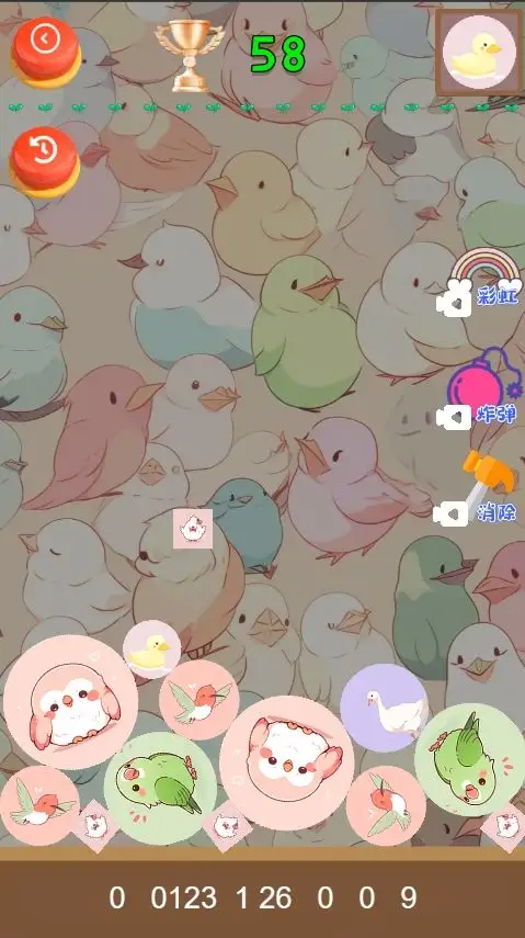 小鸟休闲合成