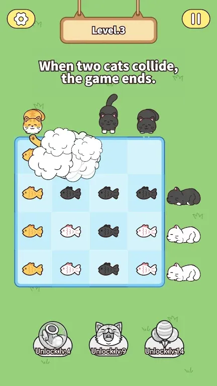 猫与鱼 猫与鱼