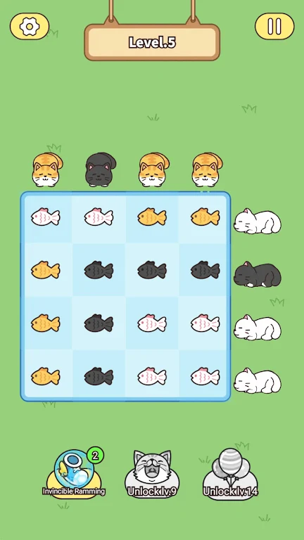 猫与鱼 猫与鱼
