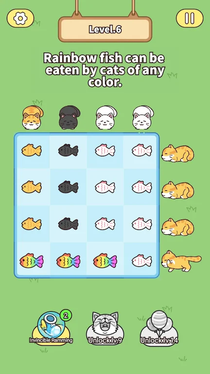 猫与鱼 猫与鱼