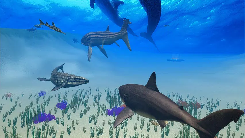 Megalodon模拟器