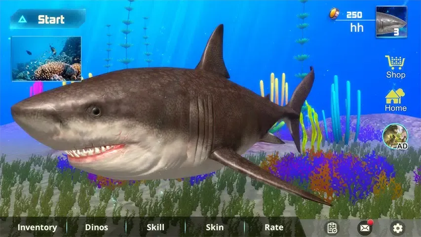 Megalodon模拟器
