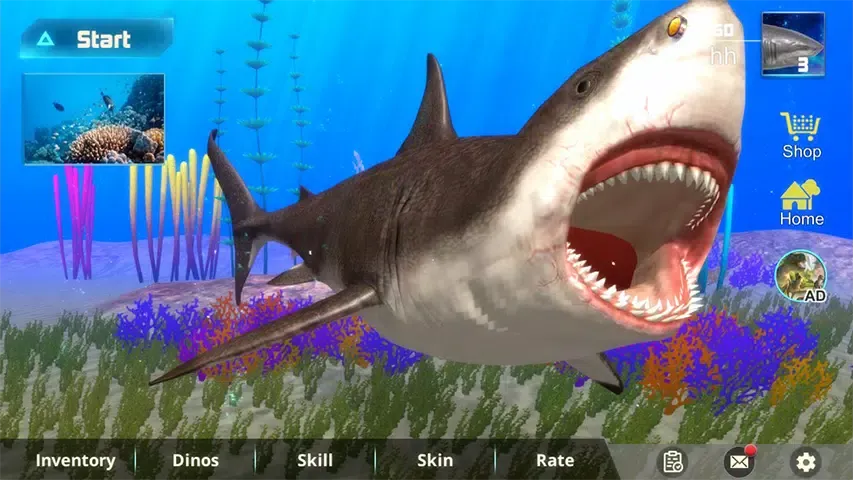 Megalodon模拟器
