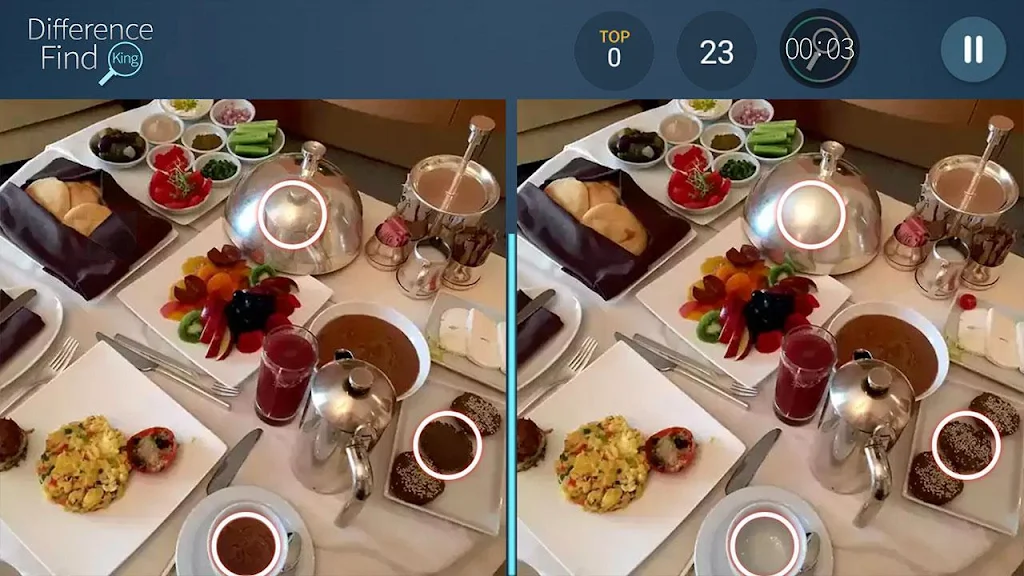 找茬之王 找茬之王