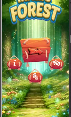 魔法森林的魅力
