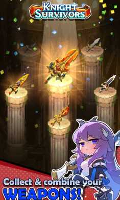 骑士之星