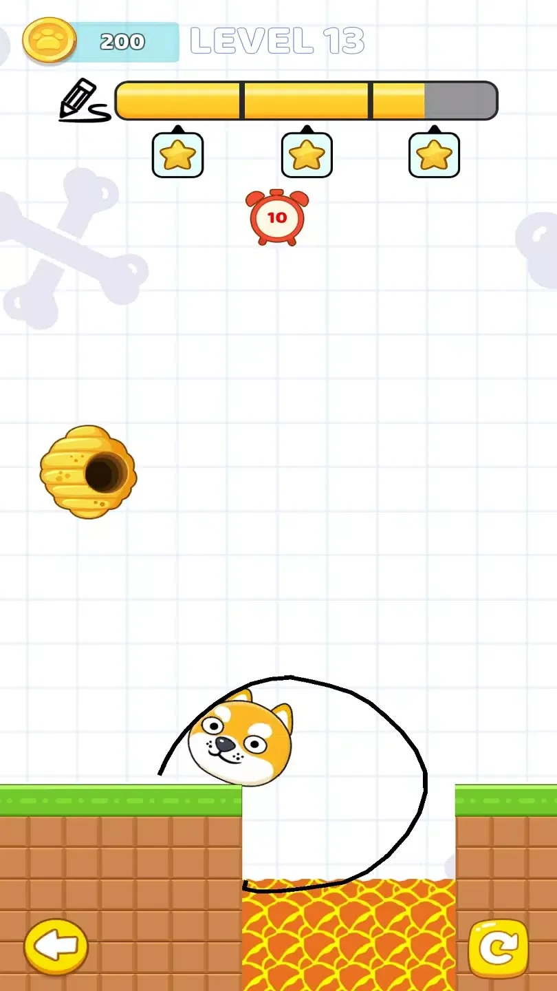 狗狗救援抽奖