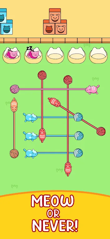 收集猫咪线团