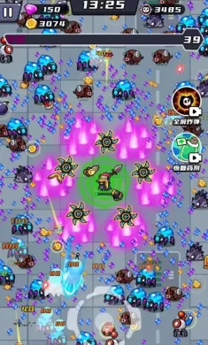 薯仔特战队