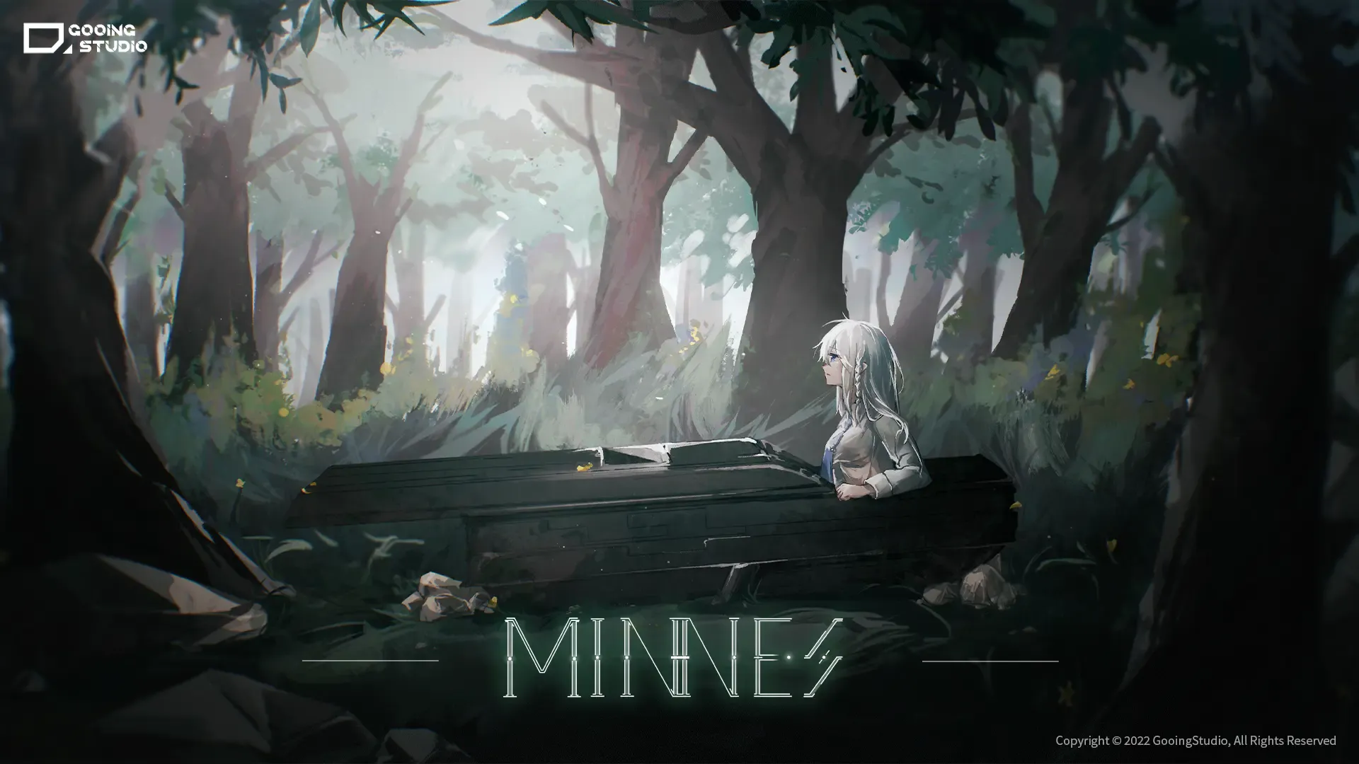 Minnes Minnes