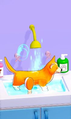 宠物沙龙大师