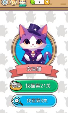 寻猫记
