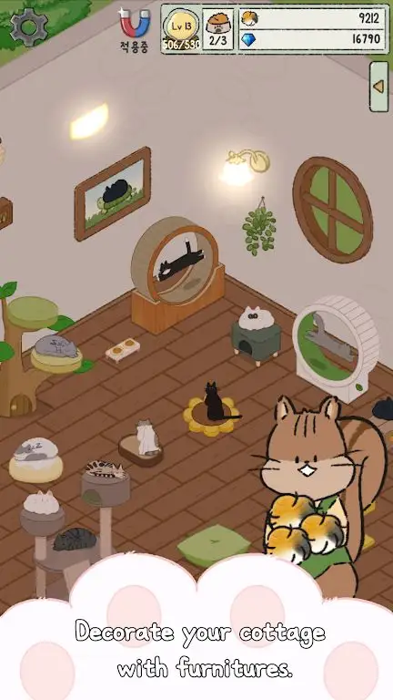 猫咪小屋