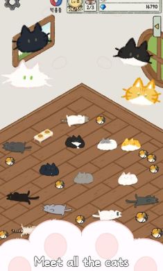 猫咪小屋