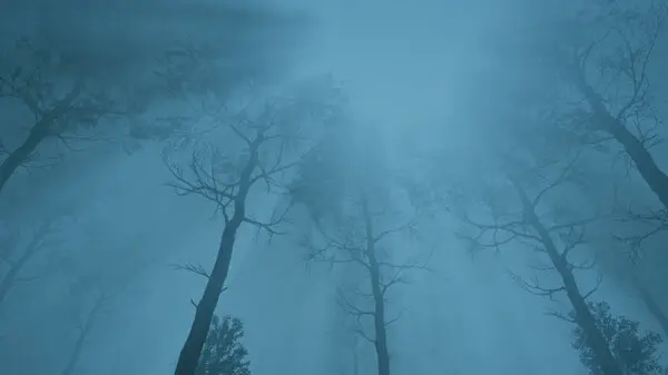 致命追击