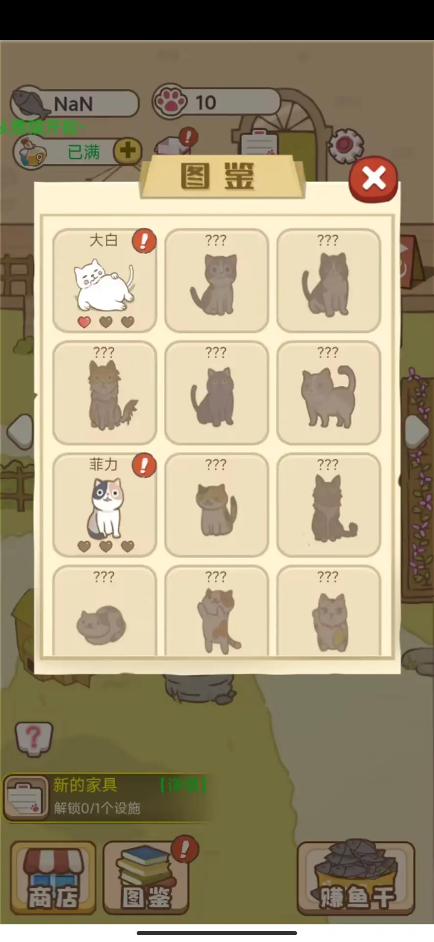 小猫铲屎官