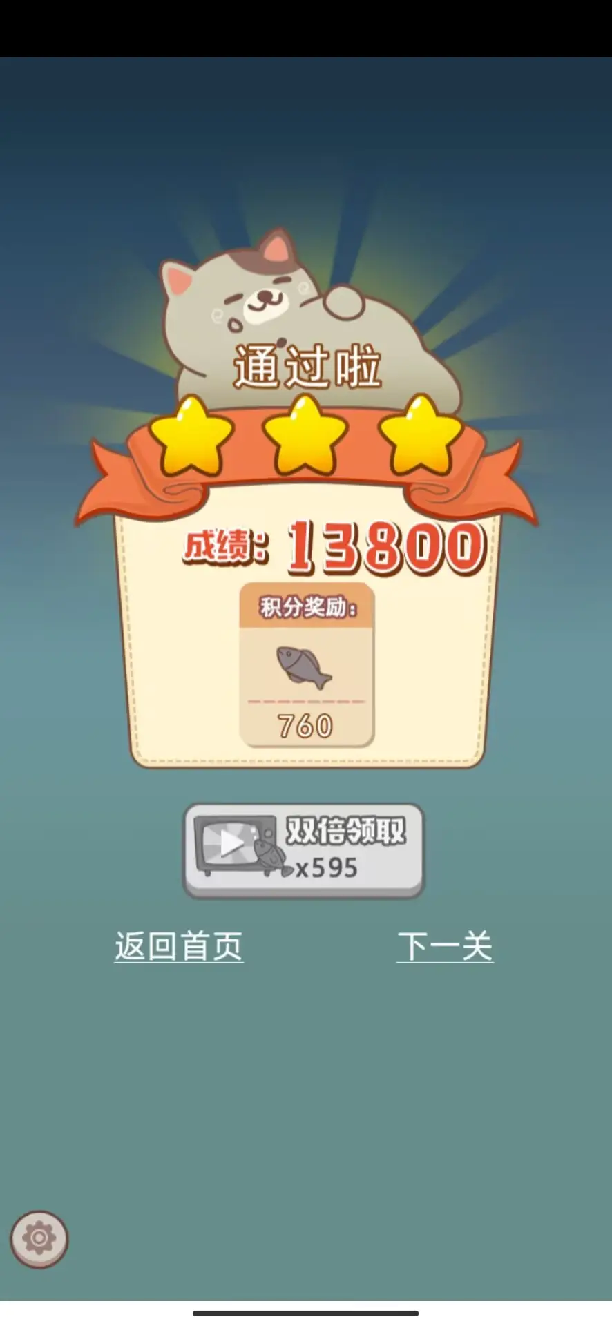 小猫铲屎官
