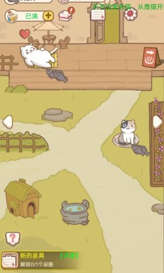 小猫铲屎官