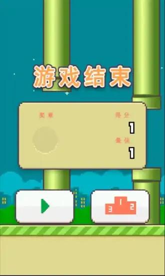 蓬松的鸟