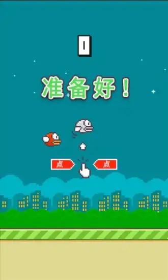 蓬松的鸟