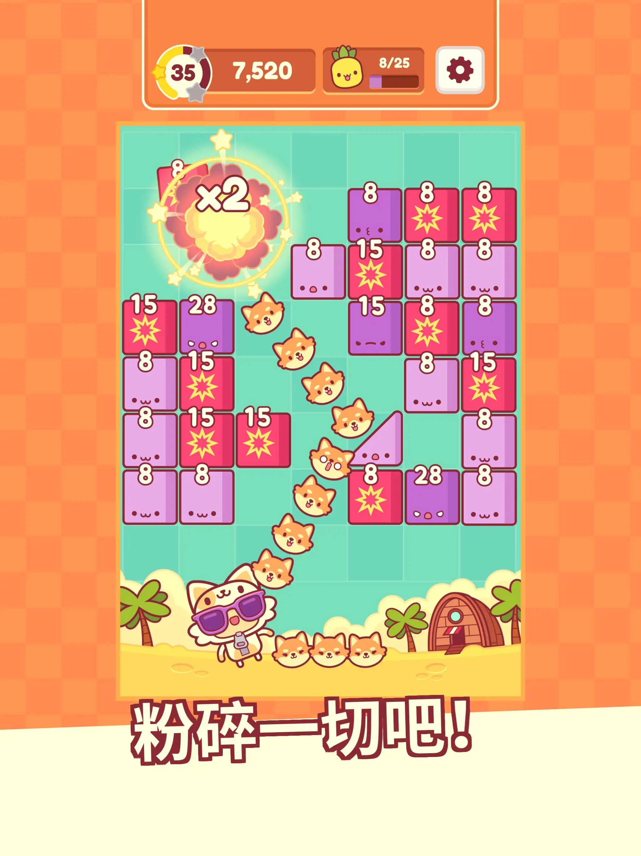 皮皮猫 皮皮猫