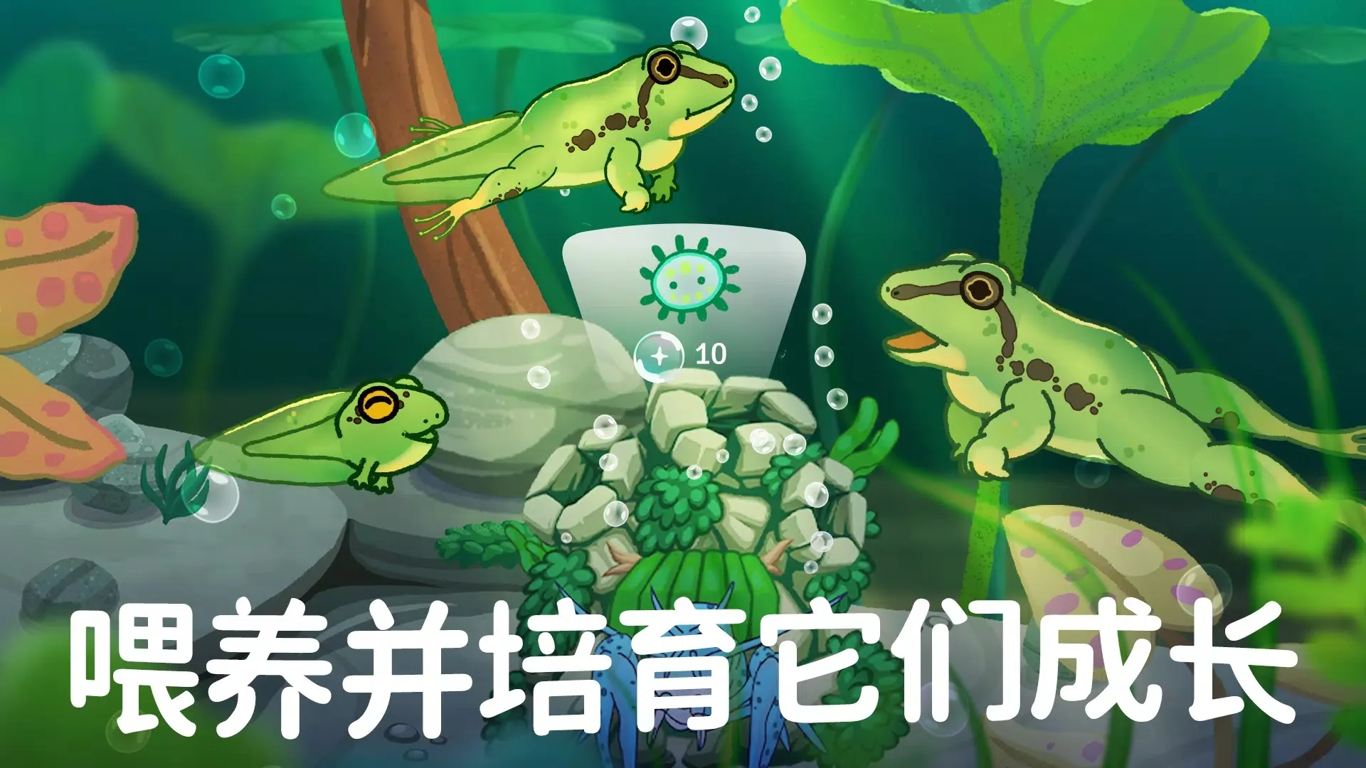 池趣