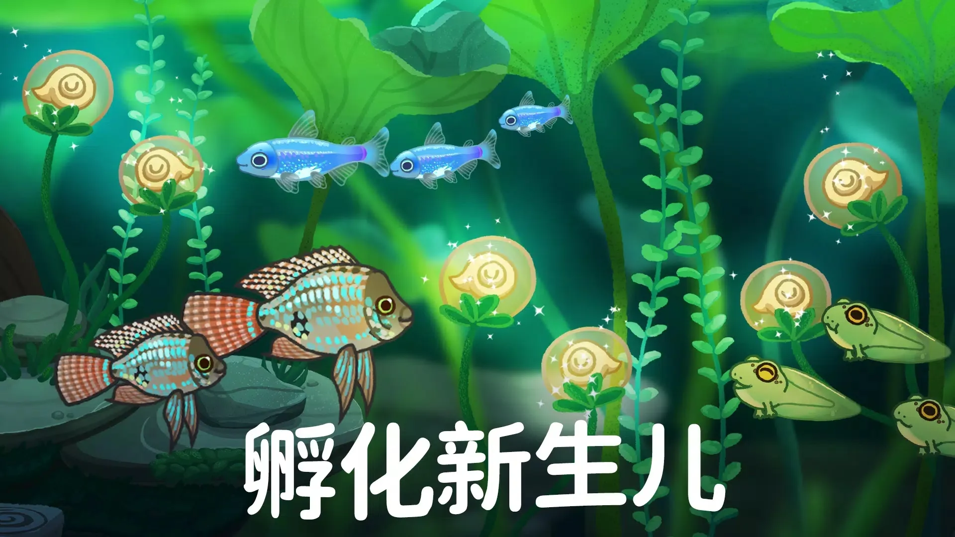 池趣