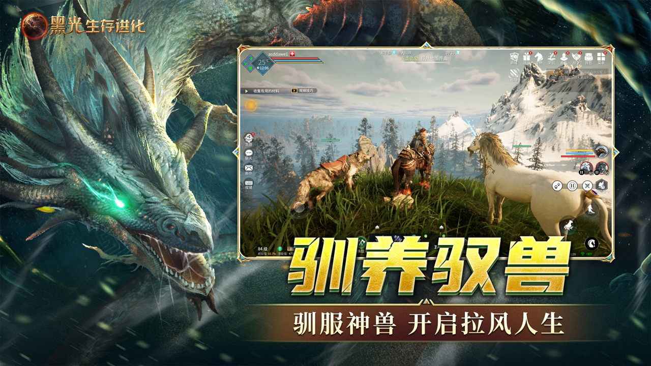 黑光生存进化