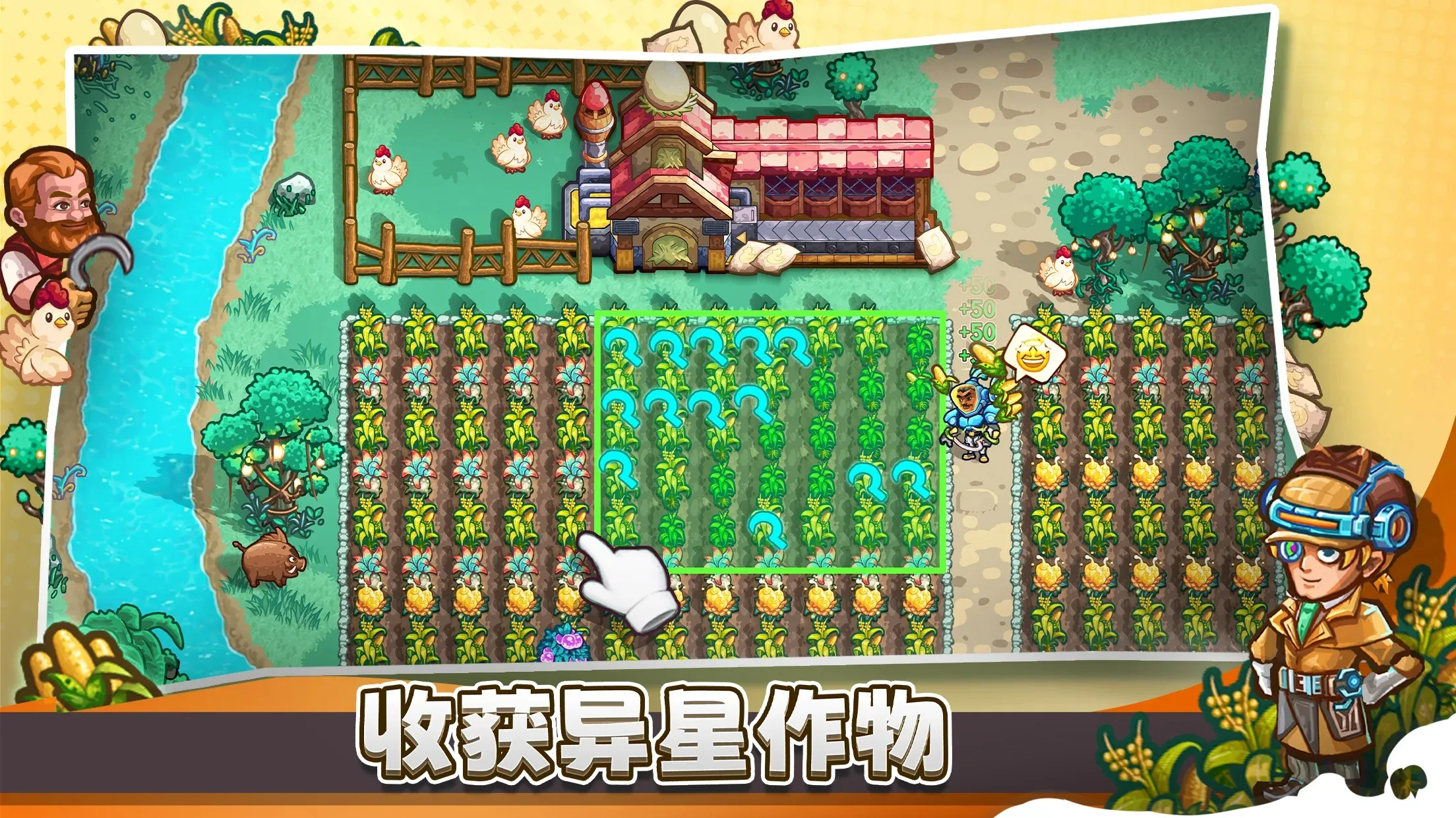 恒星保护区