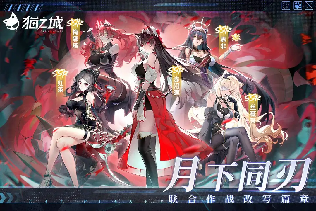 猫之城