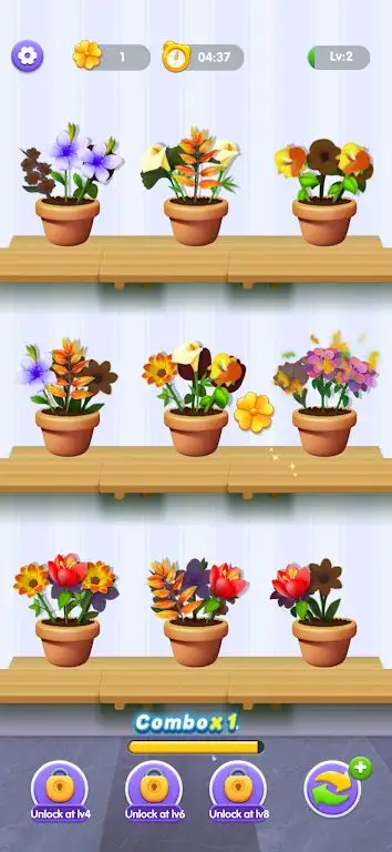 花卉分类