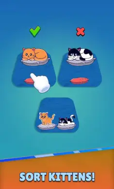 小猫分类