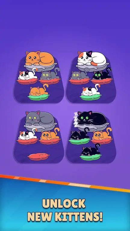 小猫分类