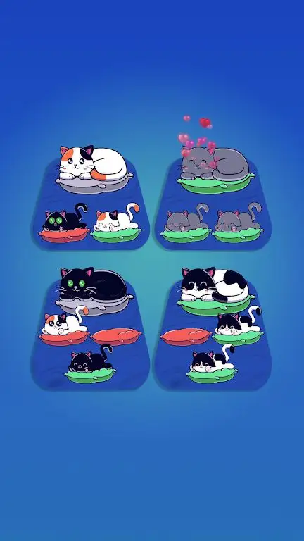 小猫分类