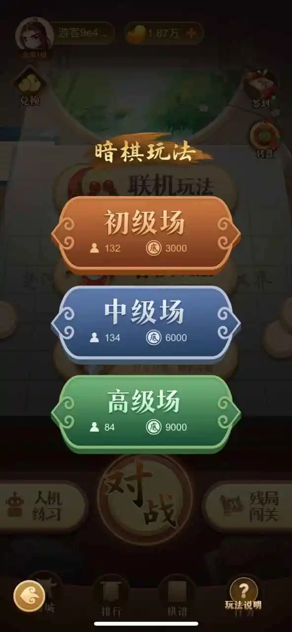 中国象棋大师