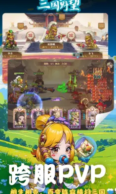 三国野望