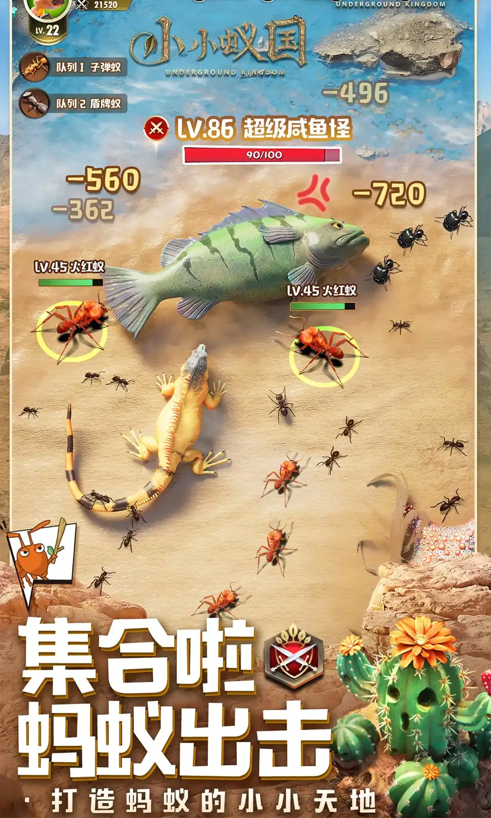 小小蚁国